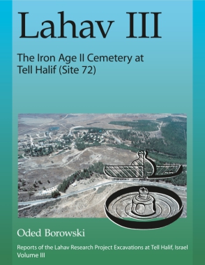 Cover image for Lahav III: The Iron Age II Cemetery at Tell Halif (Site 72) By Oded Borowski