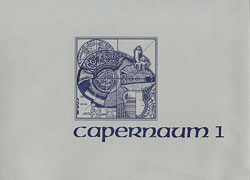 Cover image for Excavations at Capernaum: Volume 1: 1978-1982 Edited by Vassilios Tzaferis